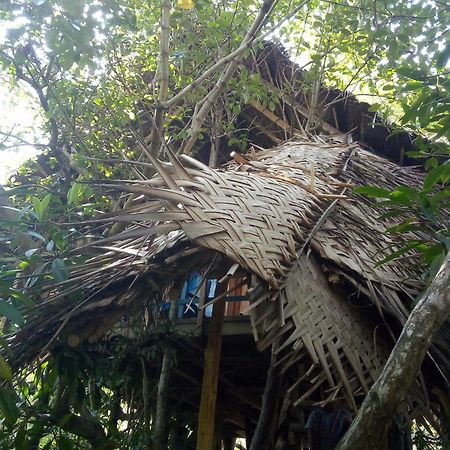 Mermaid Cabana And Tree Houses 탕갈레 외부 사진