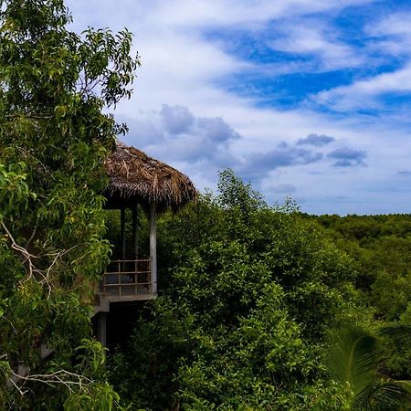 Mermaid Cabana And Tree Houses 탕갈레 외부 사진