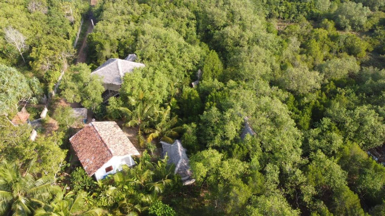 Mermaid Cabana And Tree Houses 탕갈레 외부 사진