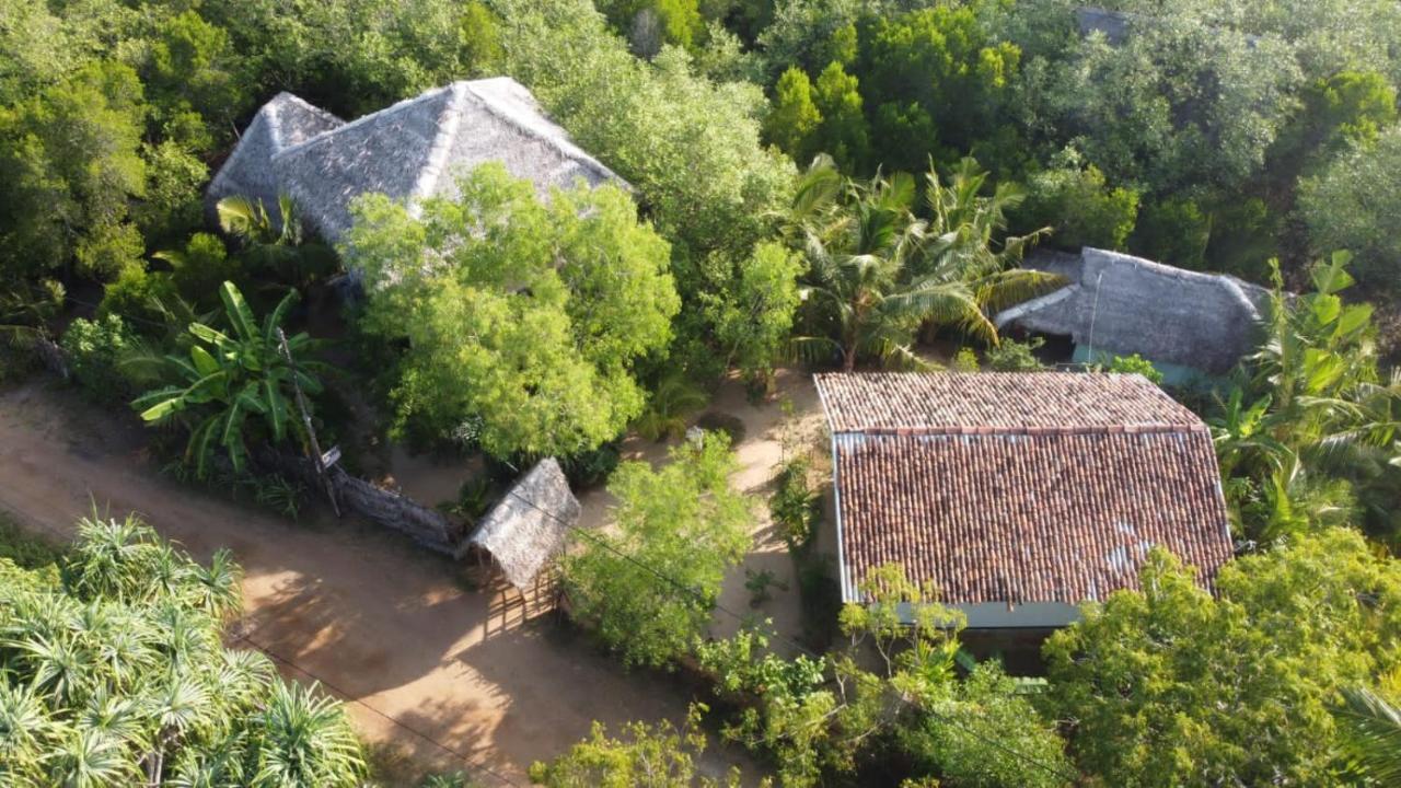 Mermaid Cabana And Tree Houses 탕갈레 외부 사진