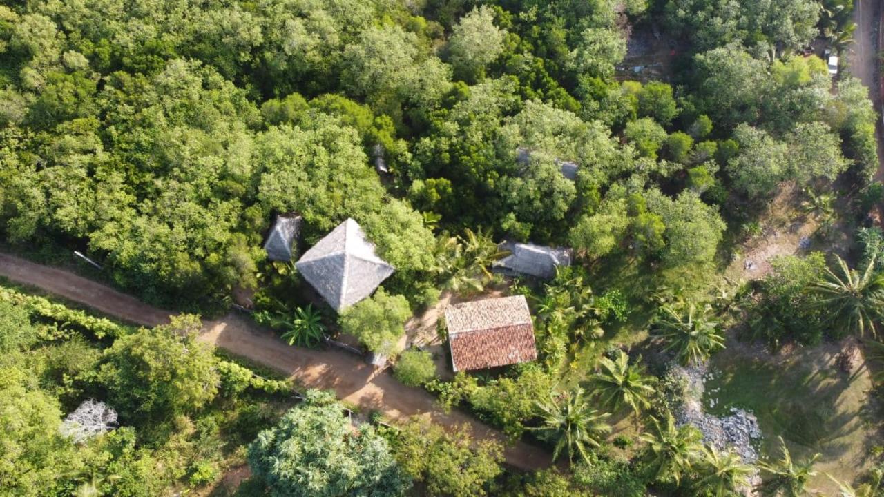 Mermaid Cabana And Tree Houses 탕갈레 객실 사진