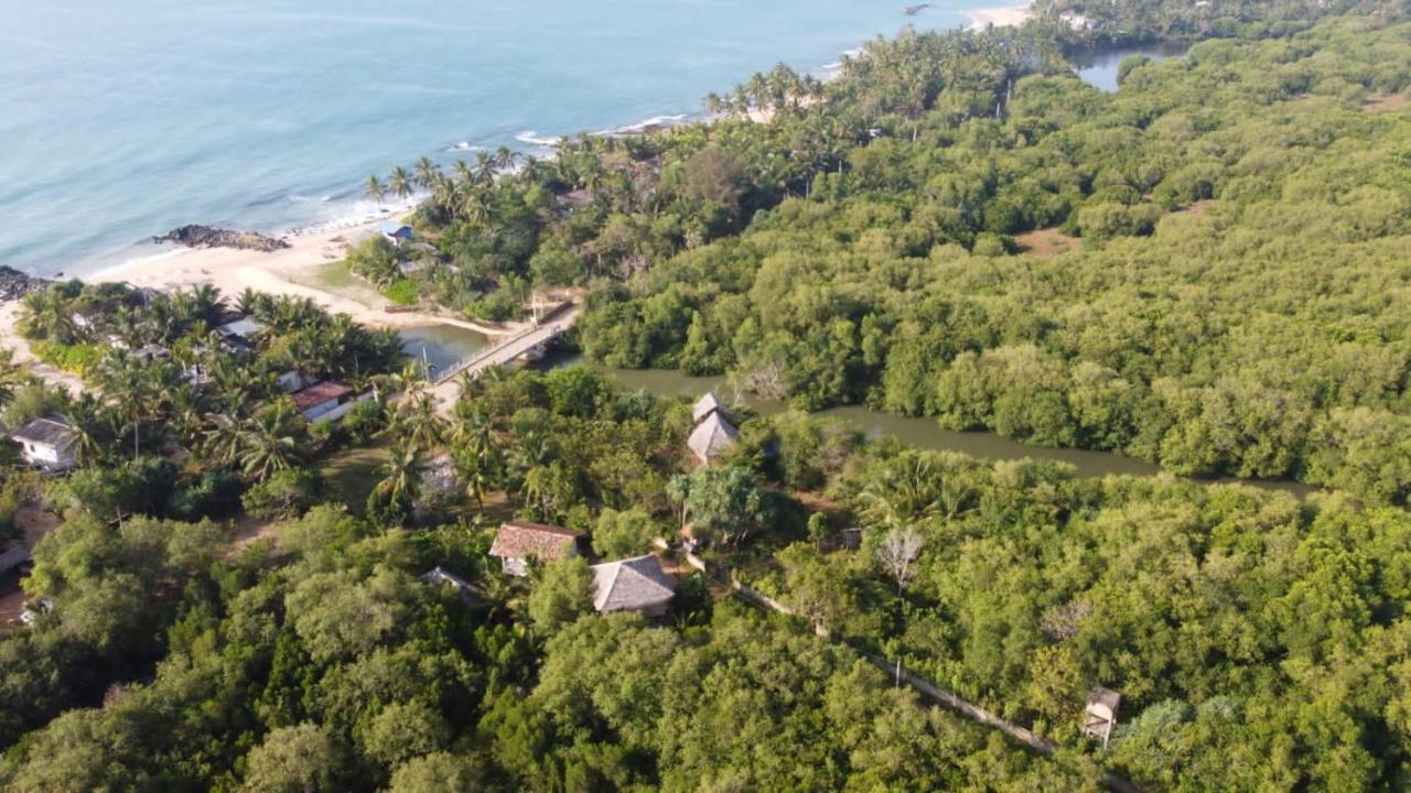 Mermaid Cabana And Tree Houses 탕갈레 외부 사진