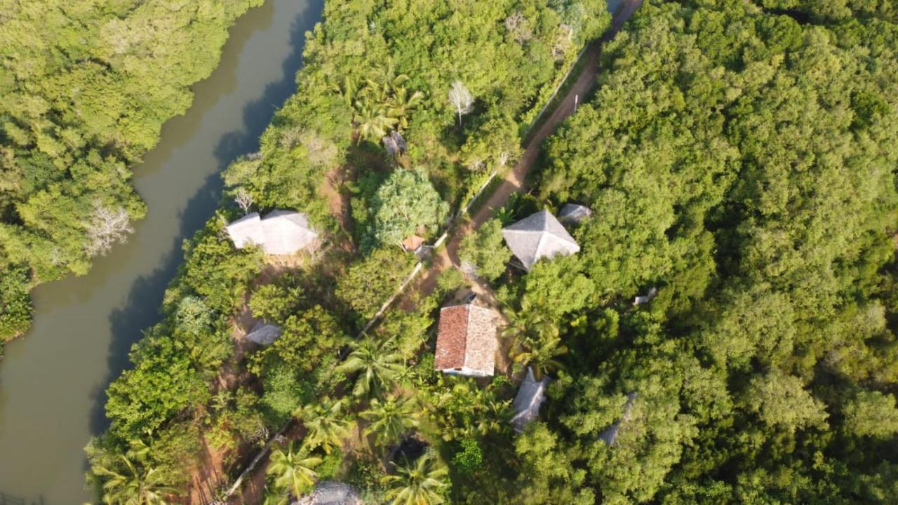Mermaid Cabana And Tree Houses 탕갈레 객실 사진