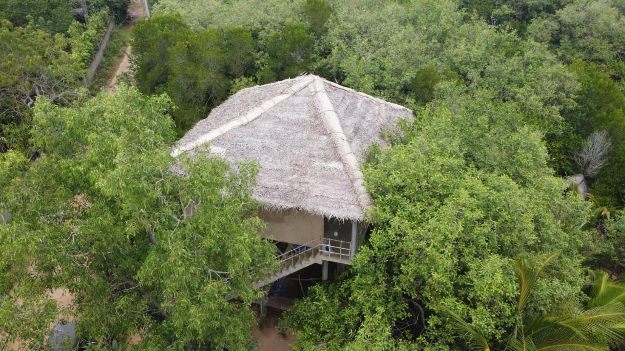 Mermaid Cabana And Tree Houses 탕갈레 외부 사진