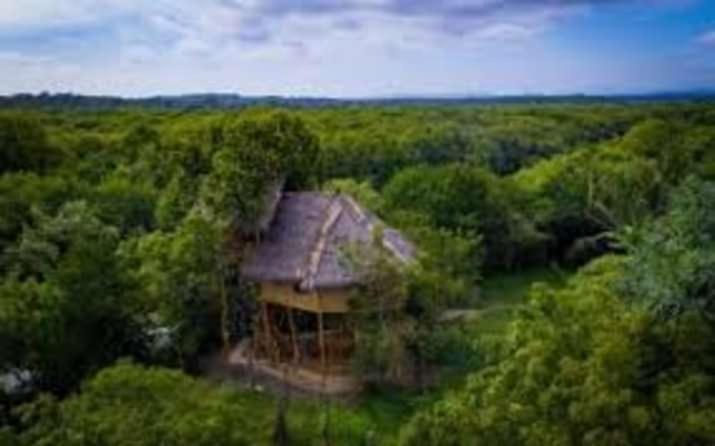 Mermaid Cabana And Tree Houses 탕갈레 외부 사진