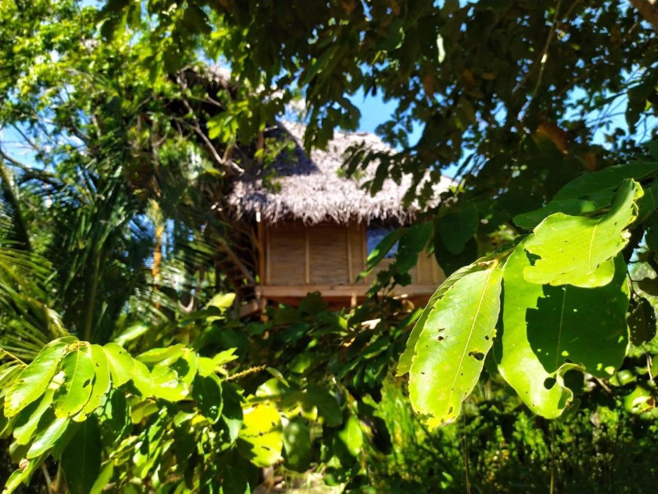 Mermaid Cabana And Tree Houses 탕갈레 객실 사진