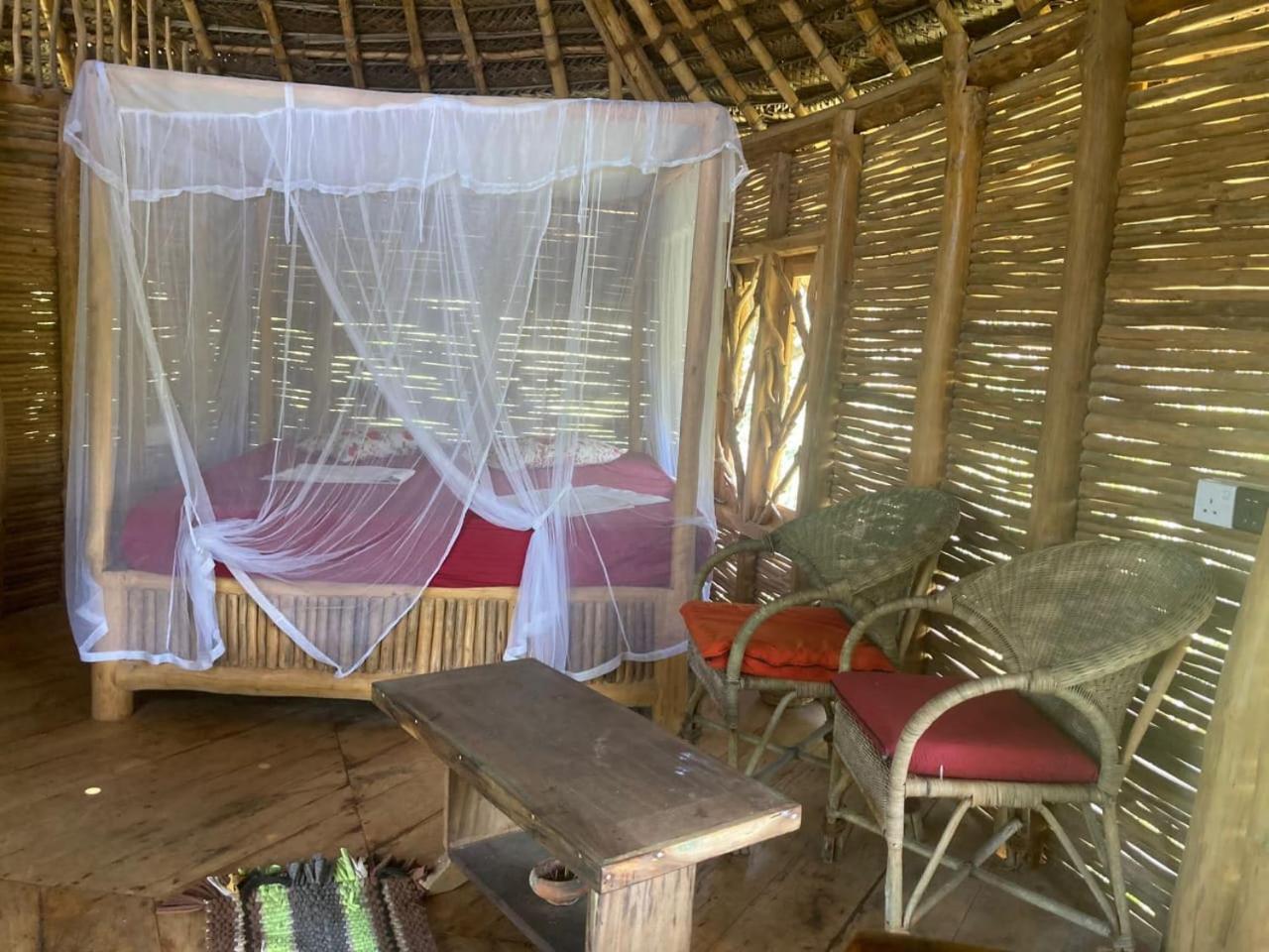 Mermaid Cabana And Tree Houses 탕갈레 객실 사진