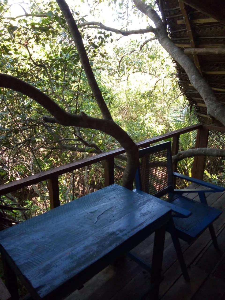 Mermaid Cabana And Tree Houses 탕갈레 객실 사진