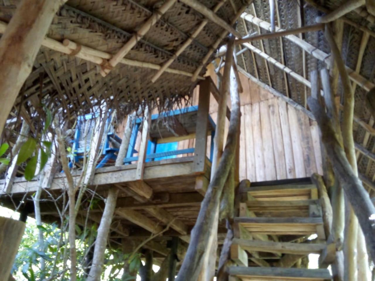 Mermaid Cabana And Tree Houses 탕갈레 객실 사진