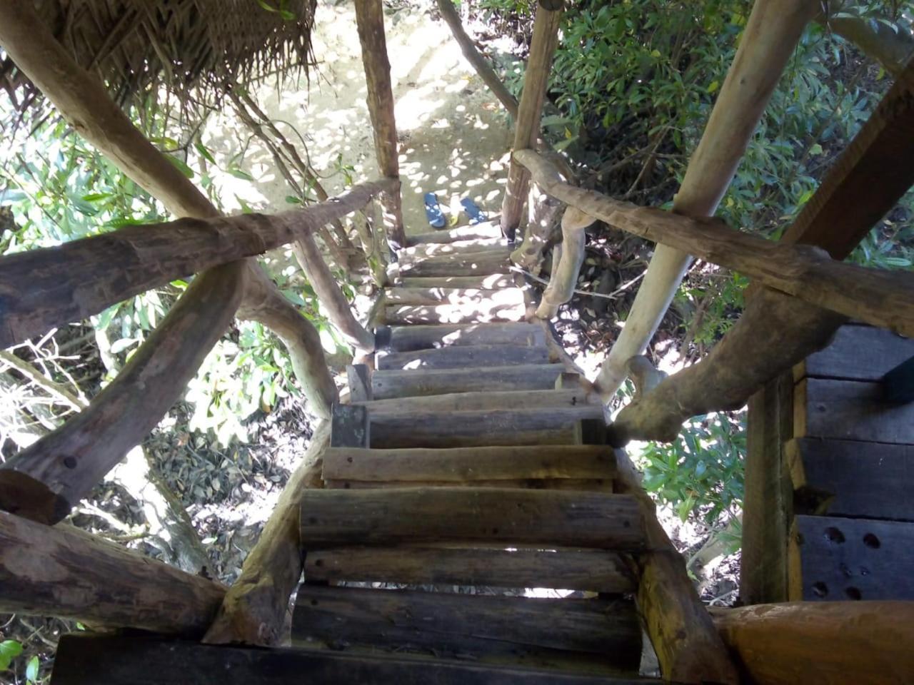 Mermaid Cabana And Tree Houses 탕갈레 객실 사진