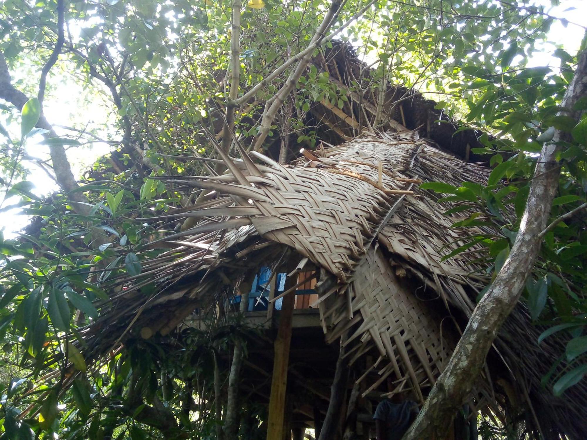 Mermaid Cabana And Tree Houses 탕갈레 외부 사진