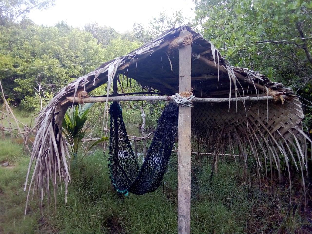 Mermaid Cabana And Tree Houses 탕갈레 외부 사진