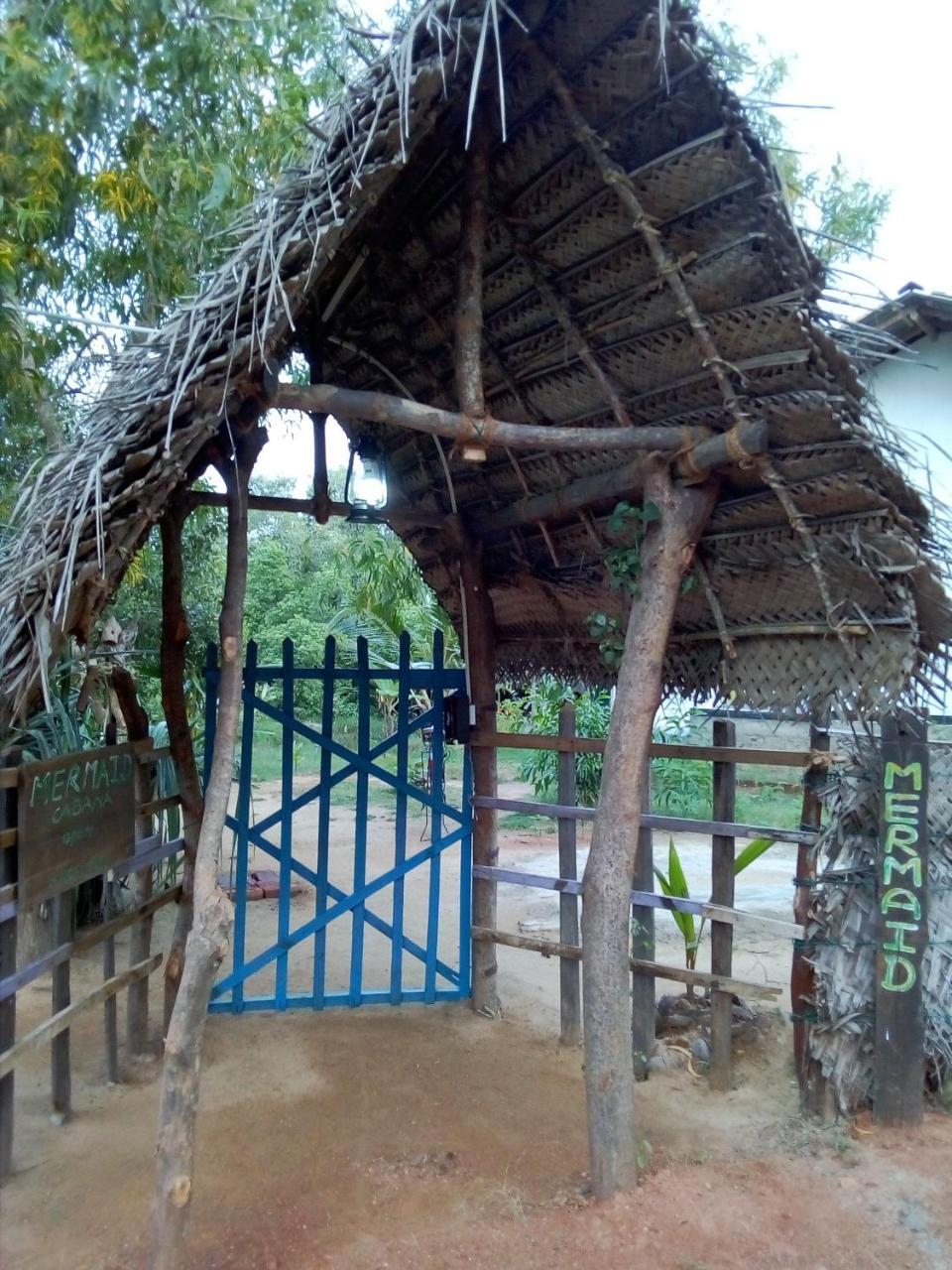 Mermaid Cabana And Tree Houses 탕갈레 외부 사진