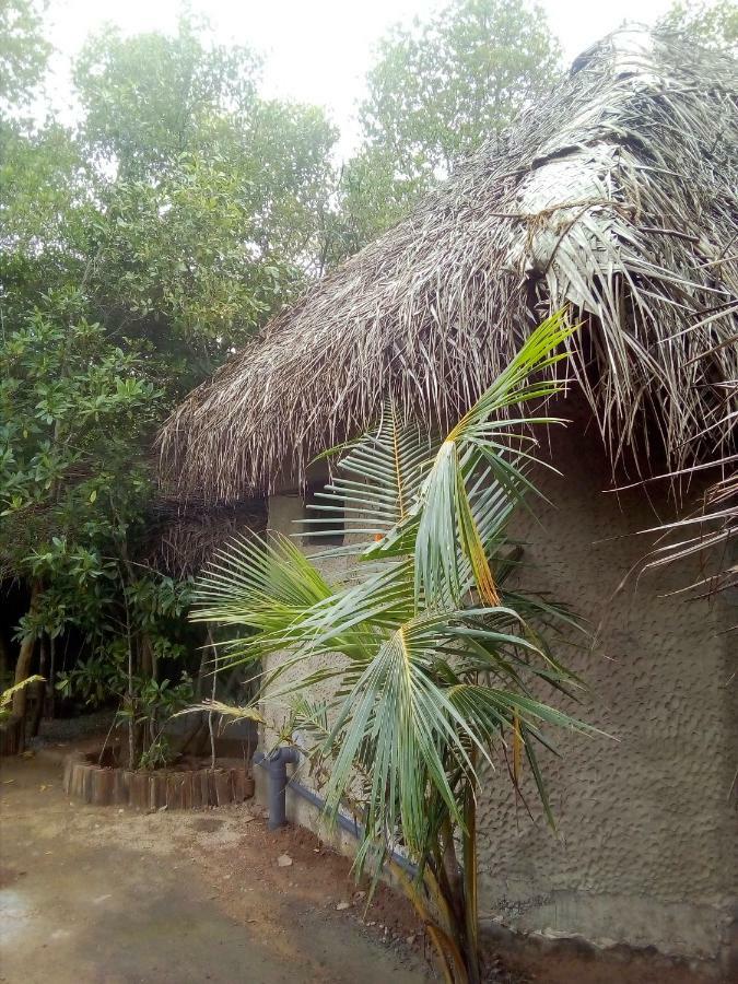 Mermaid Cabana And Tree Houses 탕갈레 외부 사진