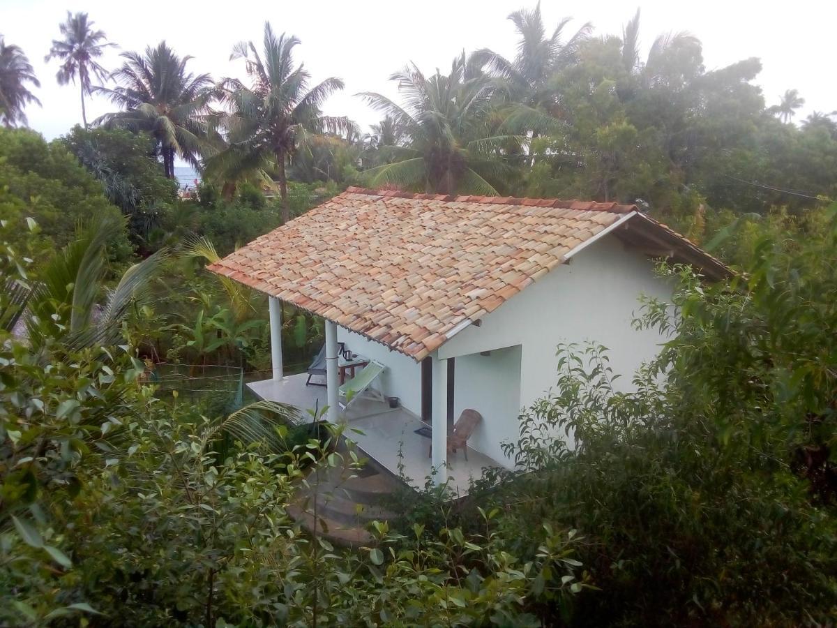 Mermaid Cabana And Tree Houses 탕갈레 외부 사진