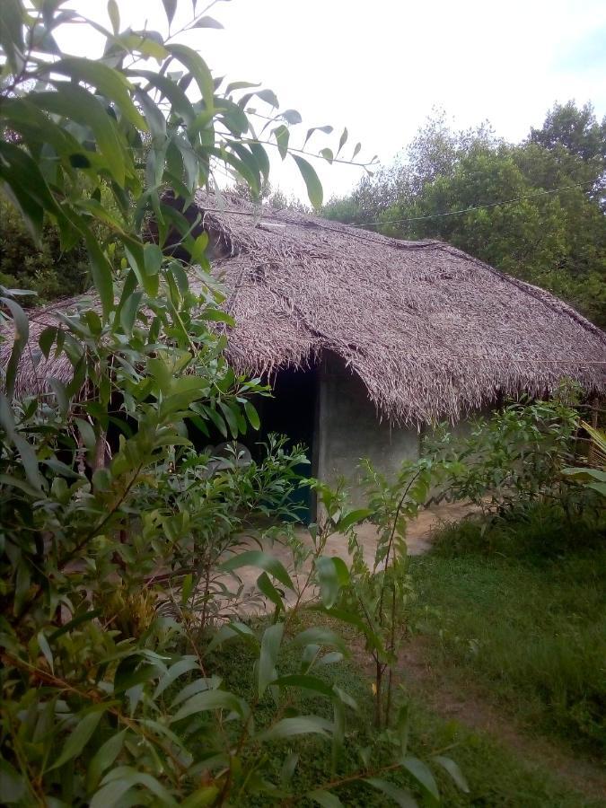 Mermaid Cabana And Tree Houses 탕갈레 외부 사진