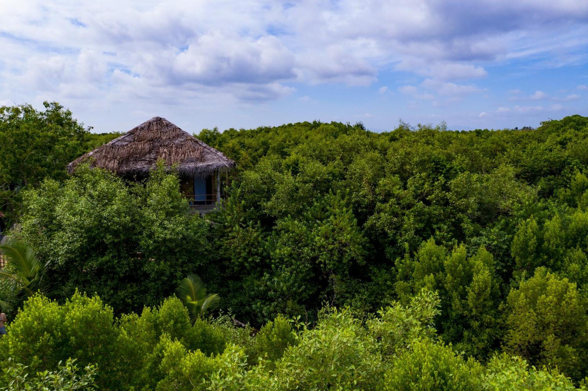 Mermaid Cabana And Tree Houses 탕갈레 외부 사진