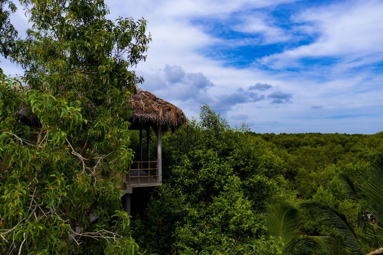 Mermaid Cabana And Tree Houses 탕갈레 외부 사진