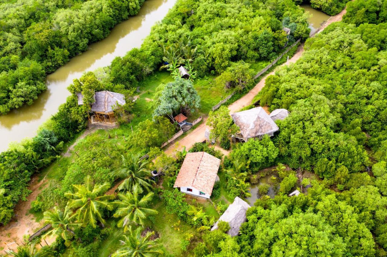 Mermaid Cabana And Tree Houses 탕갈레 외부 사진