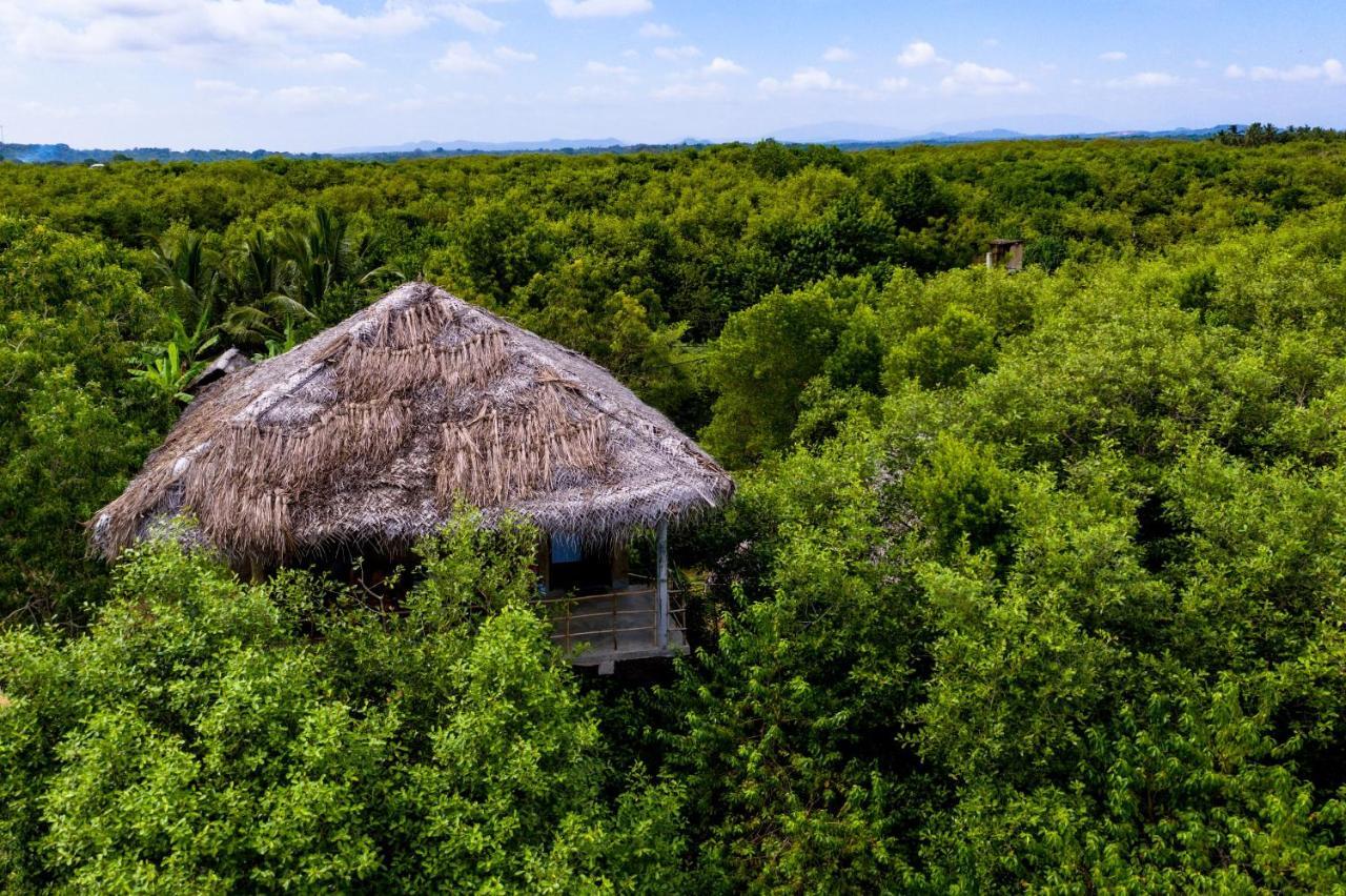 Mermaid Cabana And Tree Houses 탕갈레 외부 사진