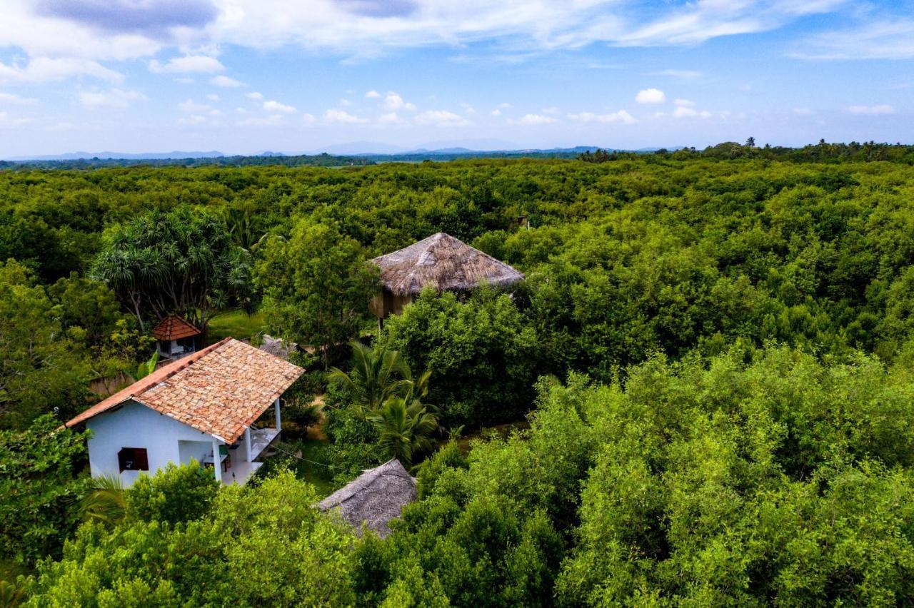 Mermaid Cabana And Tree Houses 탕갈레 외부 사진