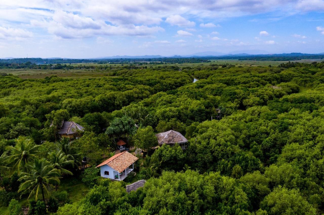 Mermaid Cabana And Tree Houses 탕갈레 외부 사진