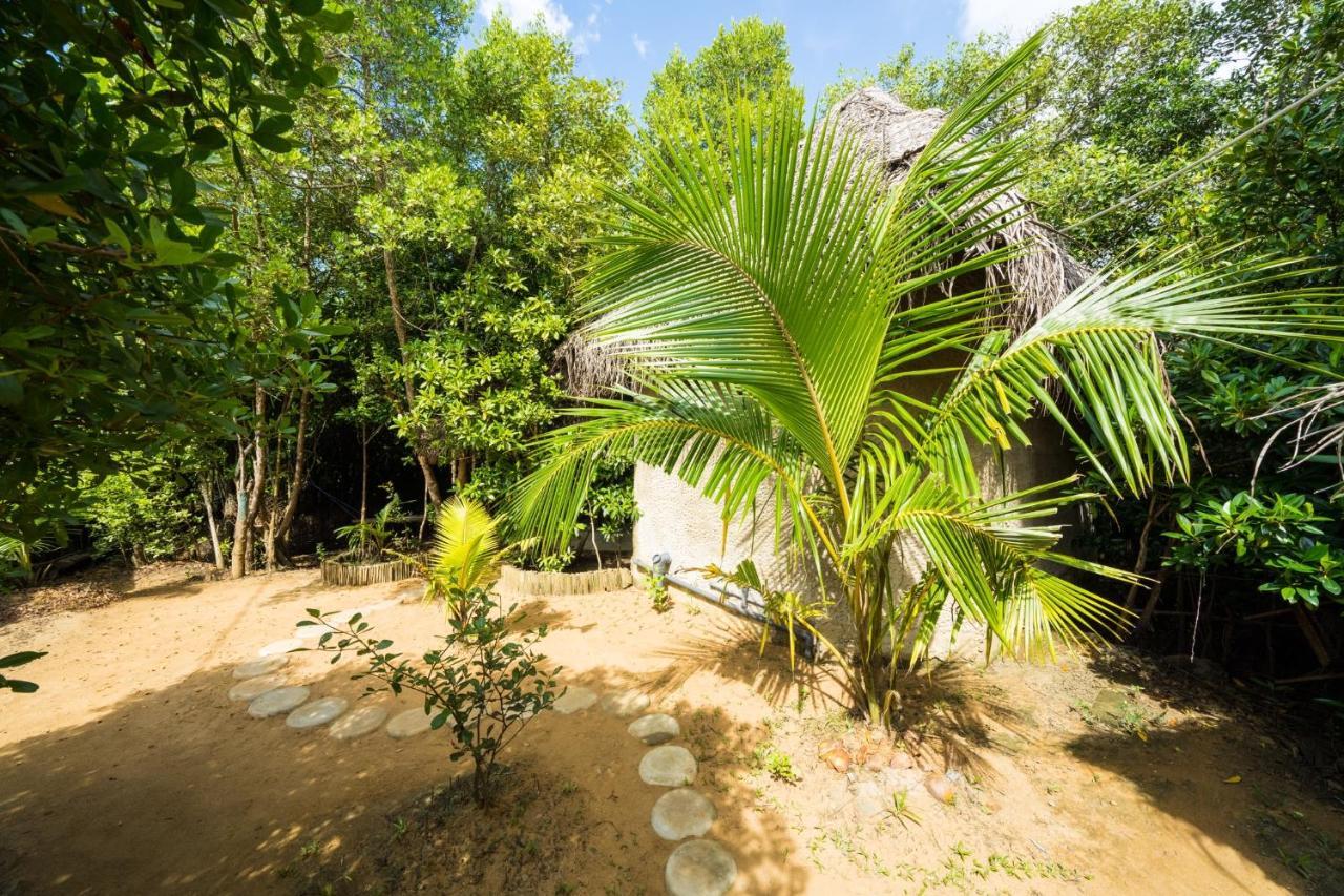 Mermaid Cabana And Tree Houses 탕갈레 외부 사진